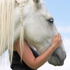 Equestrian Reiki Healing